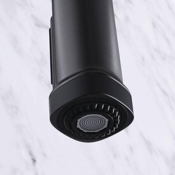 KOHLER R22153-SD-BLS Single-Handle Pull-Down Kitchen Faucet in Black Stainless